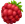 Fruits icon