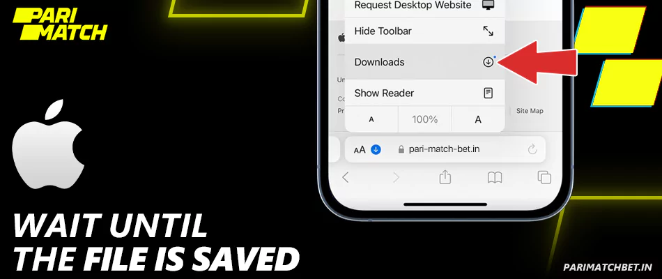 Wait until the Parimatch file is saved
