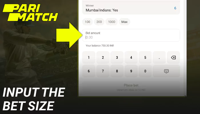 Input the bet size on IPL at Parimatch